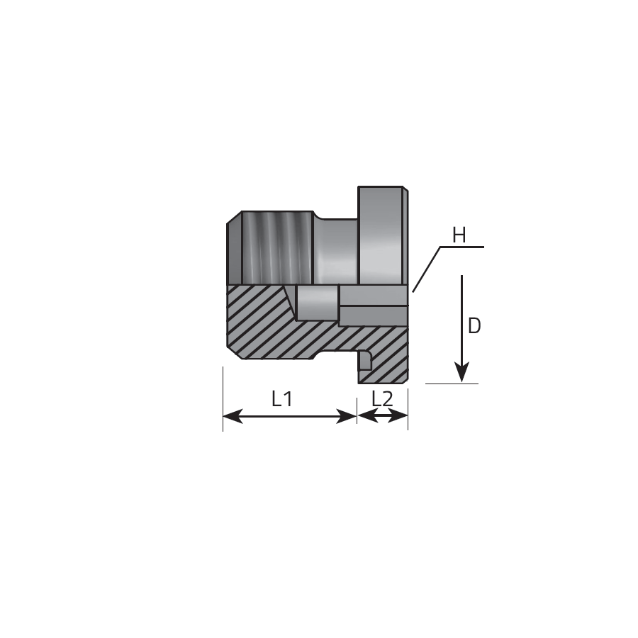 DIN INNER HEXAGON PLUG METRIC FORM E DIN 3852 -  Vitillo