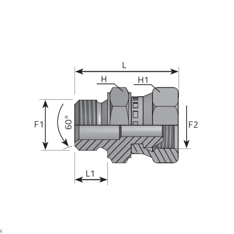 REDUCING MALE BSPP - SWIVEL FEMALE BSPP