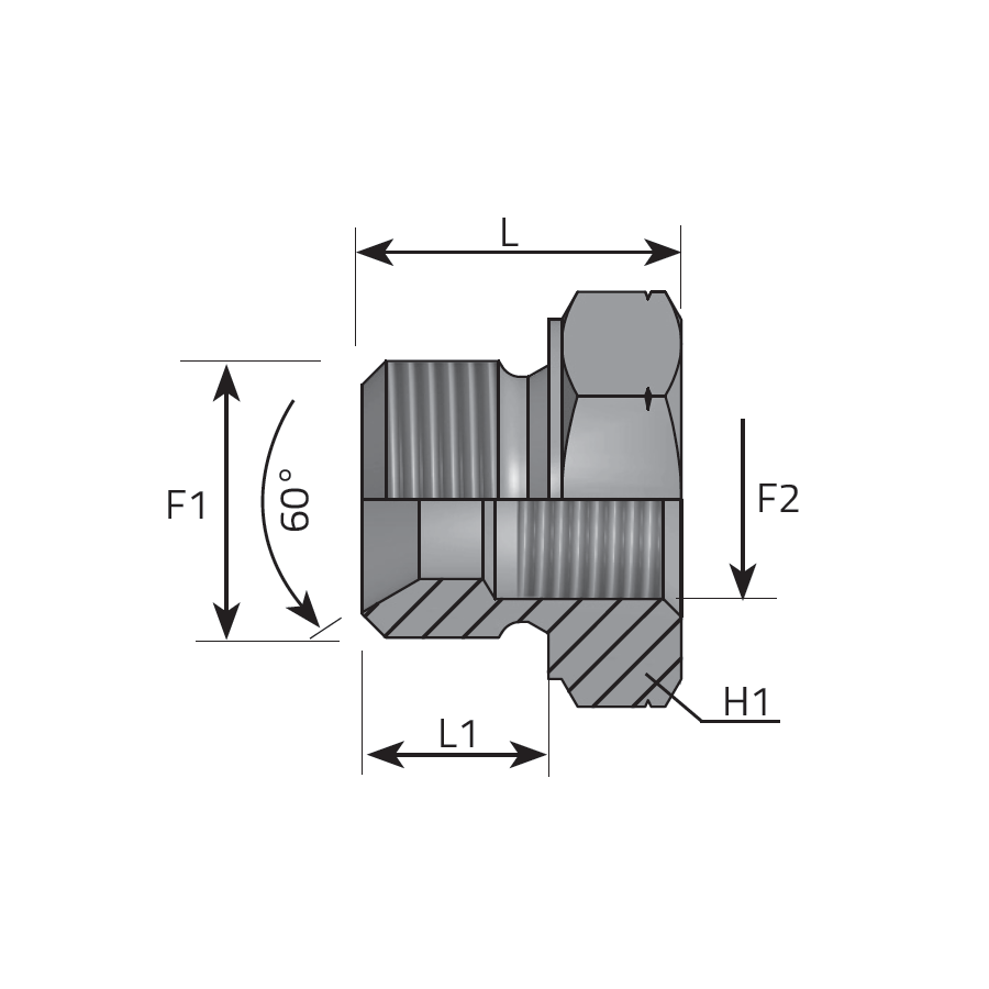REDUCING PLUG MALE BSPP - METRIC FEMALE -  Vitillo