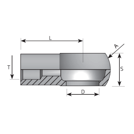 WELDING BANJO BSPP